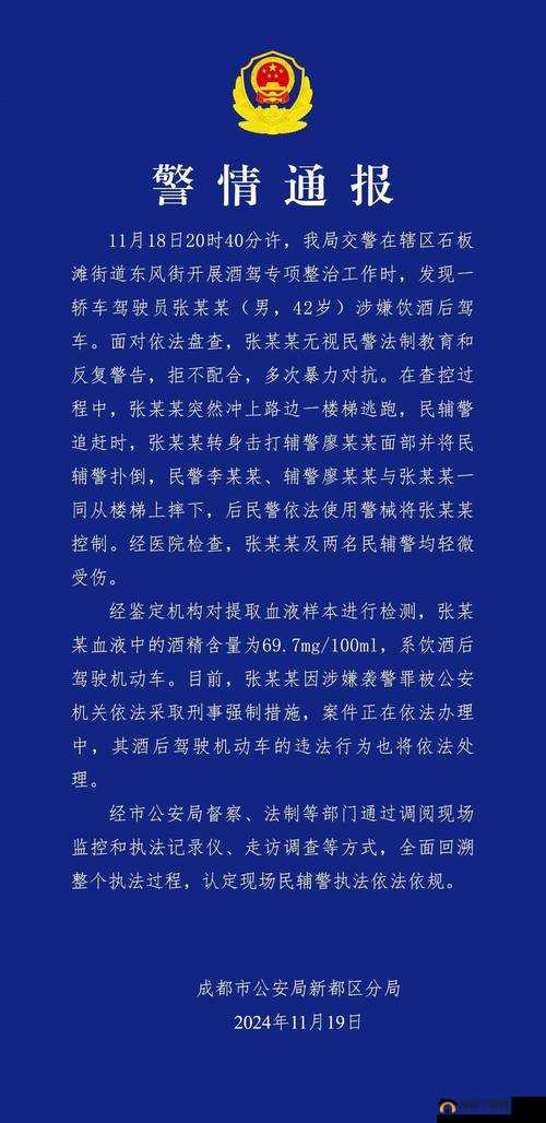 交警用小 XUE 查酒驾文叫什么：深度解析背后的执法细节与意义