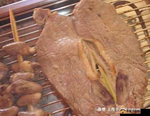 阿娇鲍鱼:珍贵食材的独特魅力与烹饪技巧探讨