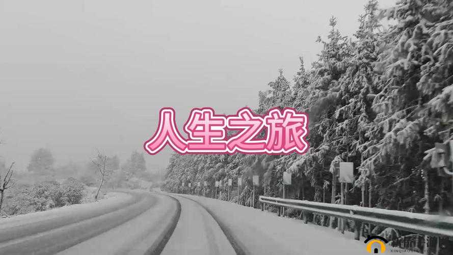 妻友 love 相伴,开启美好人生之旅