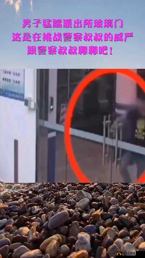 张警官撞玻璃视频大全:各种搞笑有趣的撞玻璃瞬间集锦