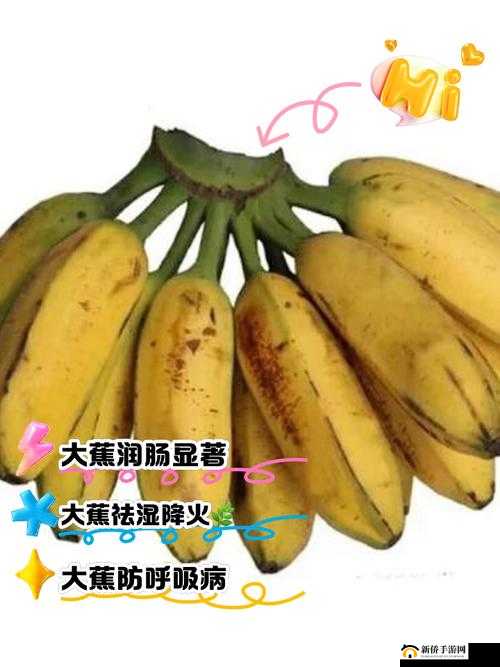大伊香蕉:关于大伊香蕉的详细介绍与独特之处