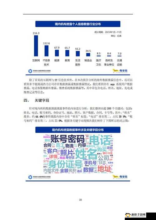 shadowweb血星网站安全吗:探究其背后的巨大风险