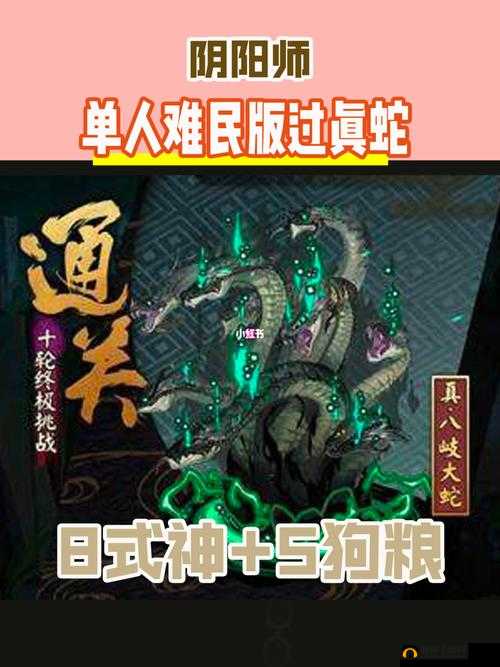 阴阳师教你如何通关真八歧大蛇十层,资源管理、技巧与策略