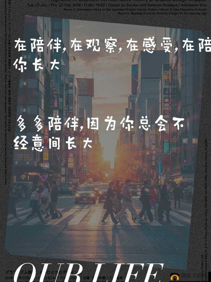 1v2 从小开始:成长路上独特的竞争与陪伴经历