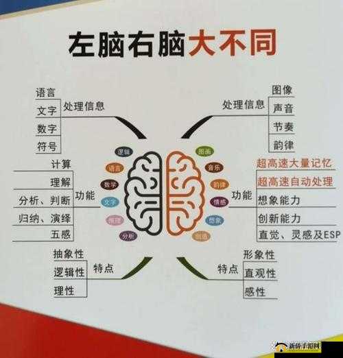 办公室里的人和畜禽的区别:从行为到思维的深度剖析