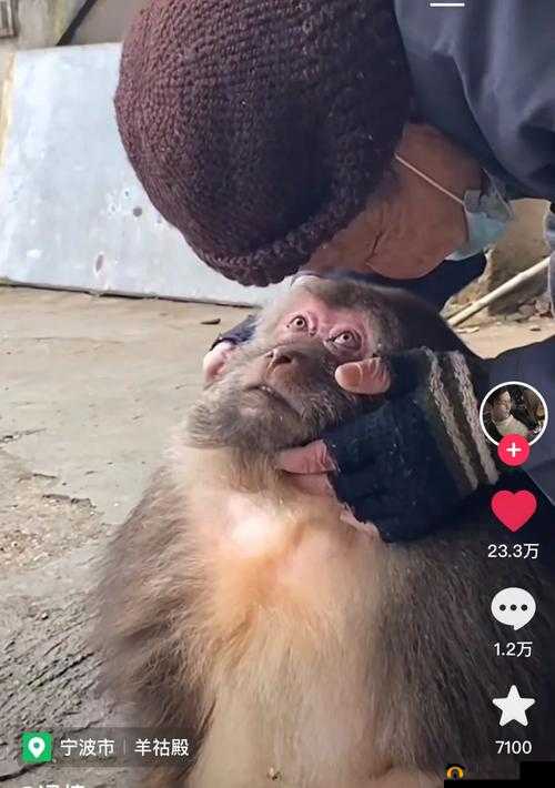 人与动物跨越界限的特殊夫妻关系探讨