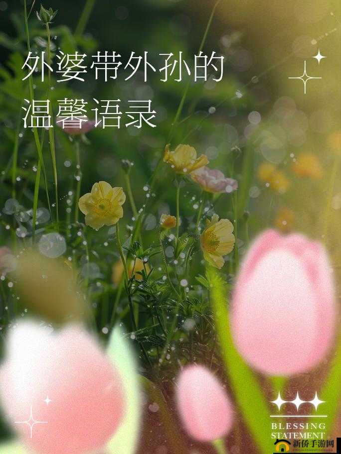 爸爸叫我cOd妈妈小新外婆:一段温馨家庭故事的开启