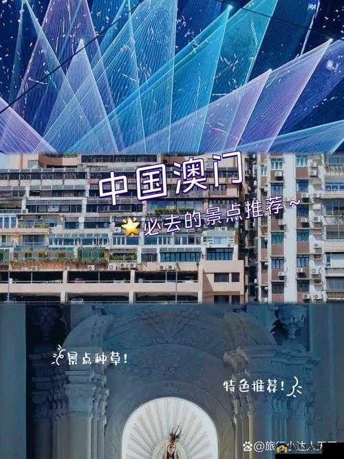 日欧一品之道:探索品质卓越与文化交融的奥秘之旅