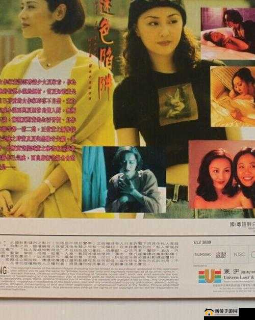 警惕色色视屏下载背后的风险与陷阱