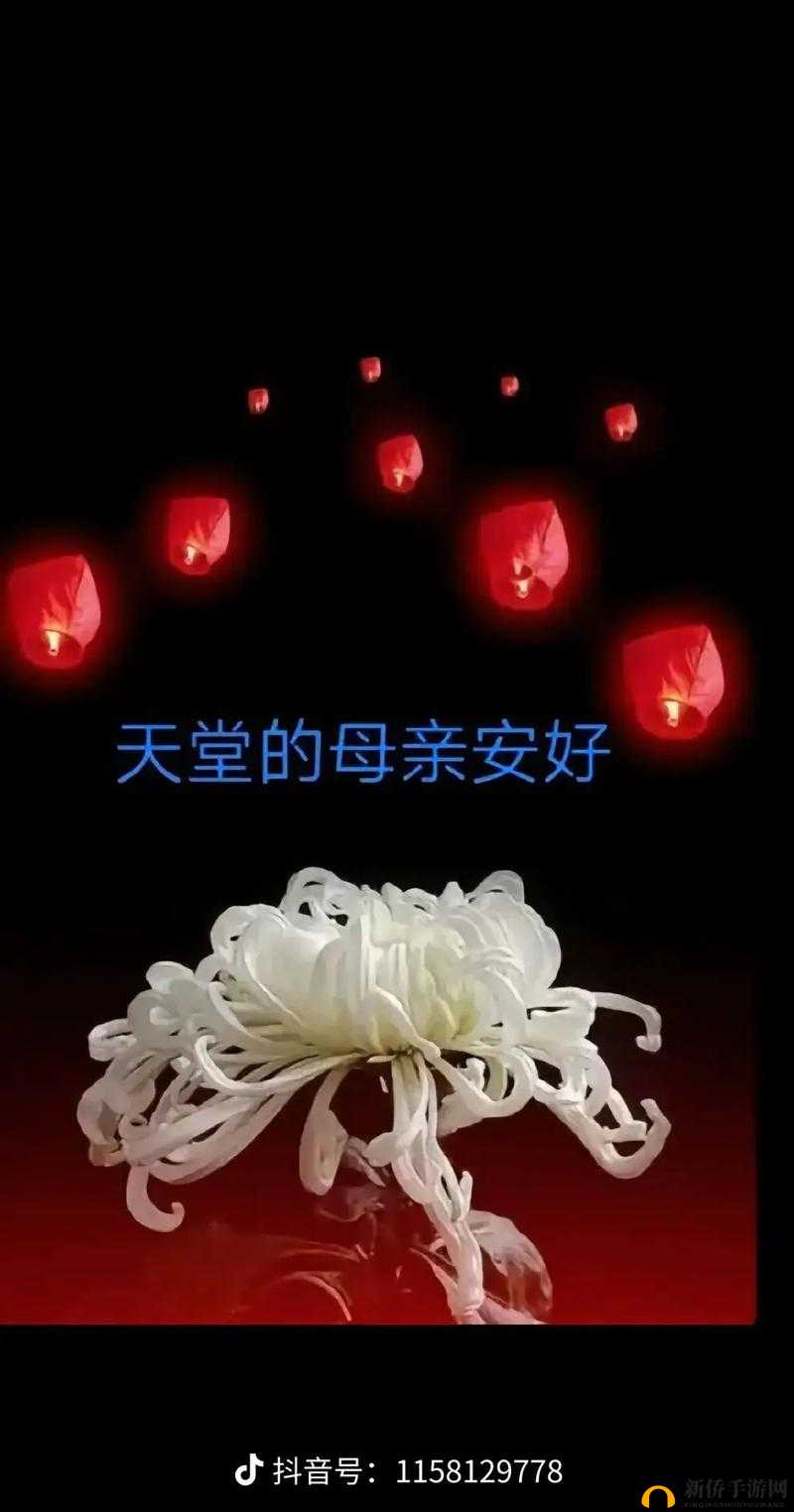 果冻罪母之伤:无法言说的母爱之痛