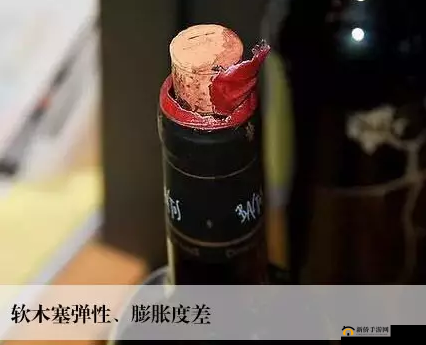 用红酒瓶塞堵住不能流下来网传更新了:背后的真相究竟如何