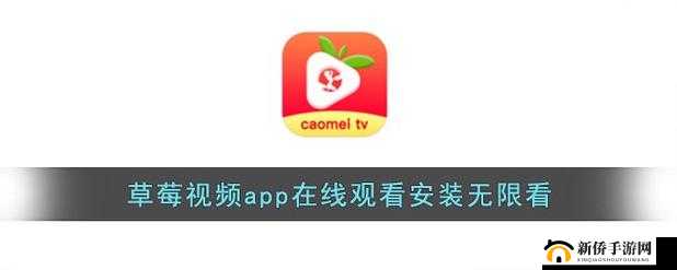 草莓 app 无限制观看,畅享精彩内容