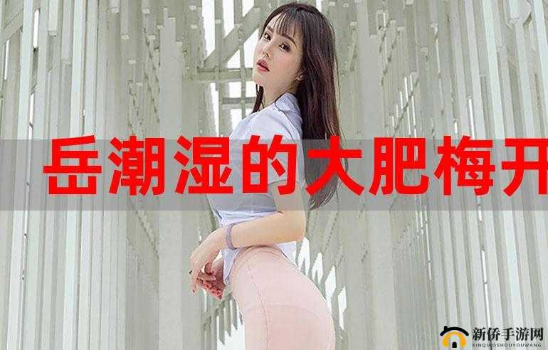 :肥岳:探寻欲望的边界