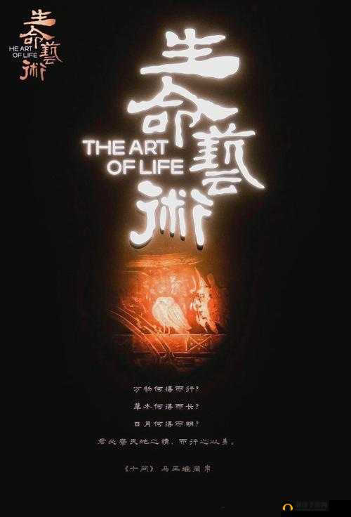 探秘究极进化,一场数字世界的生命盛宴