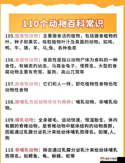 探索人马畜禽 company limited 动物明星的奇妙世界