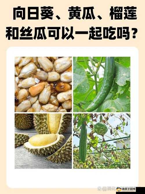 草莓丝瓜榴莲秋葵黄瓜:美味蔬果的多彩世界