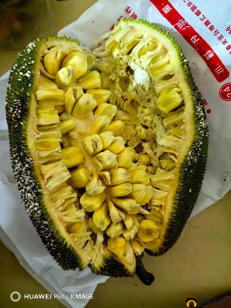 菠萝菠萝蜜手机网:畅享优质手机购物体验