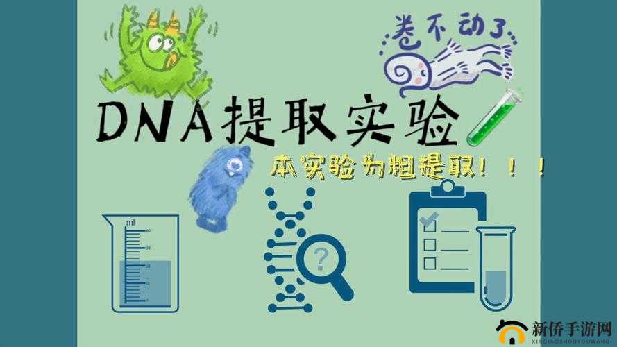 河北ssis-440 的提取密码:关于其背后意义与相关探讨