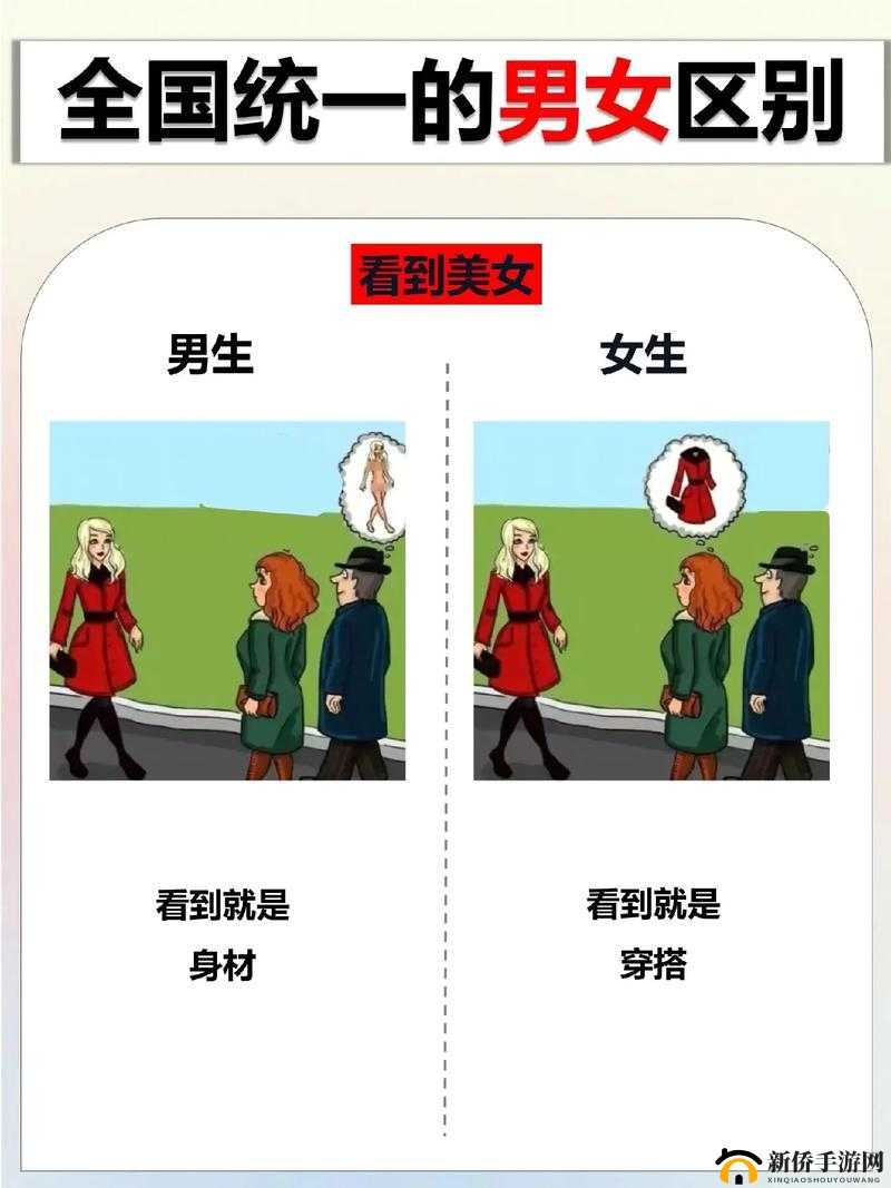 男生和女生之间的奇妙差异:探索性别之谜