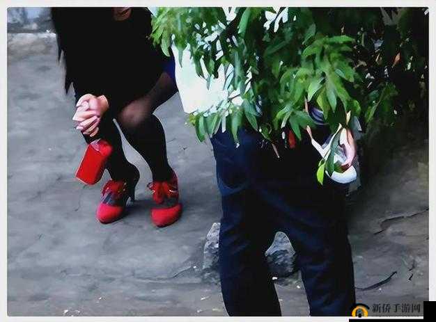公园小树中老年交易图片:揭示不为人知的交易内幕