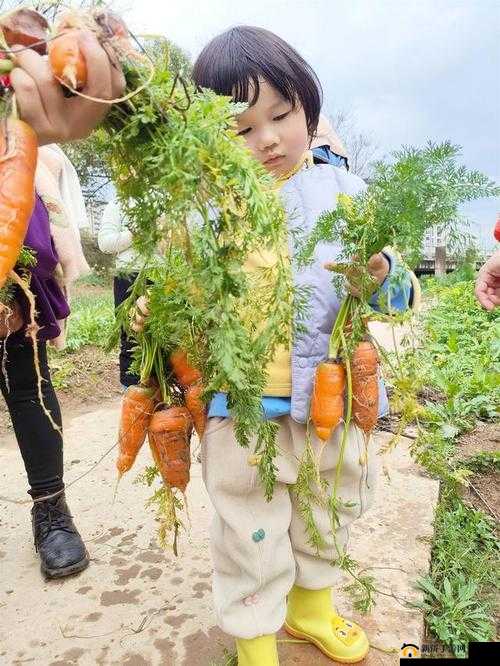 女孩子怎么体验拔萝卜的感觉:趣味探索与独特经历分享