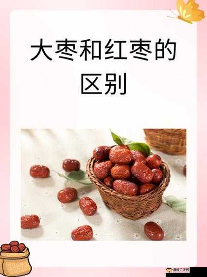 大枣和红枣有什么区别:深入探究二者细微差异