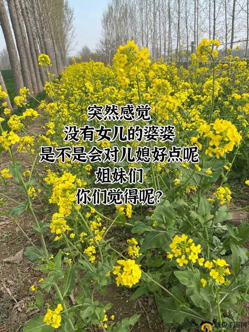 老八和他的三个儿媳妇的故事:家庭轮理剧还是网络热点?