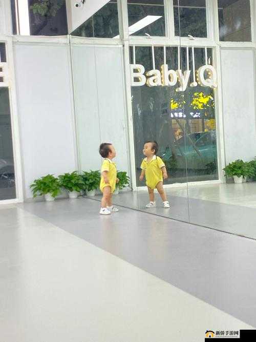 宝宝看镜子里的我们:奇妙的视觉体验