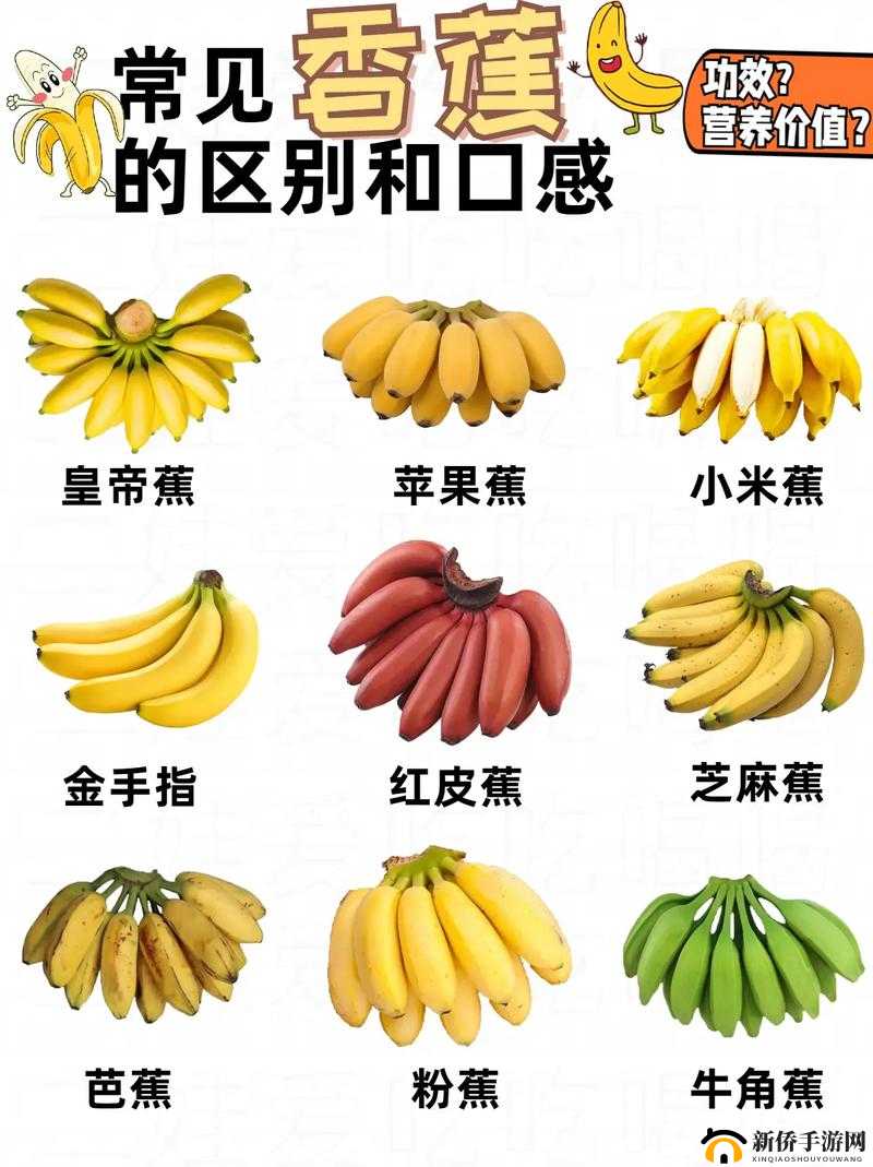 琪琪色大香蕉:一种特殊的香蕉品种,你了解吗?
