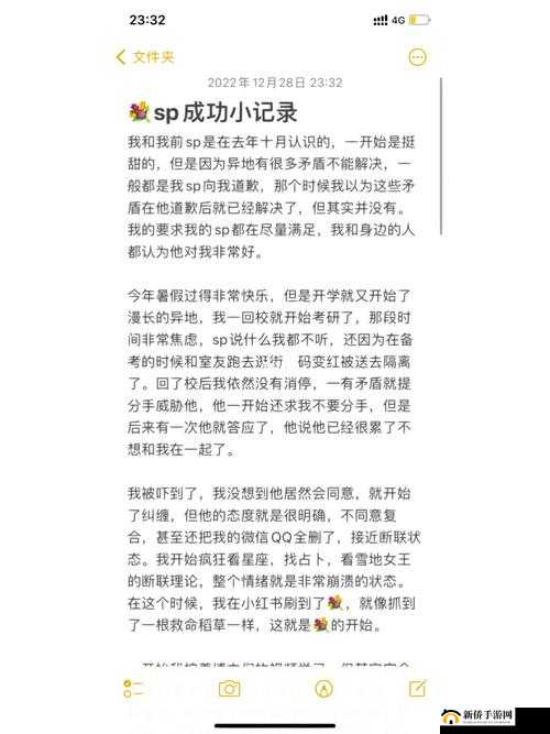 SP 的标准惩罚是什么:详细解读与全面剖析
