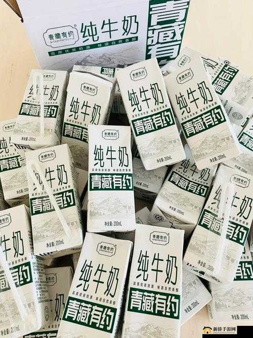 久久国产一品:经典国货的品质之选