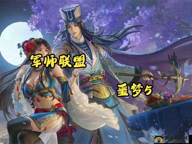 军师联盟手游新服活动开启,资源管理的艺术与策略
