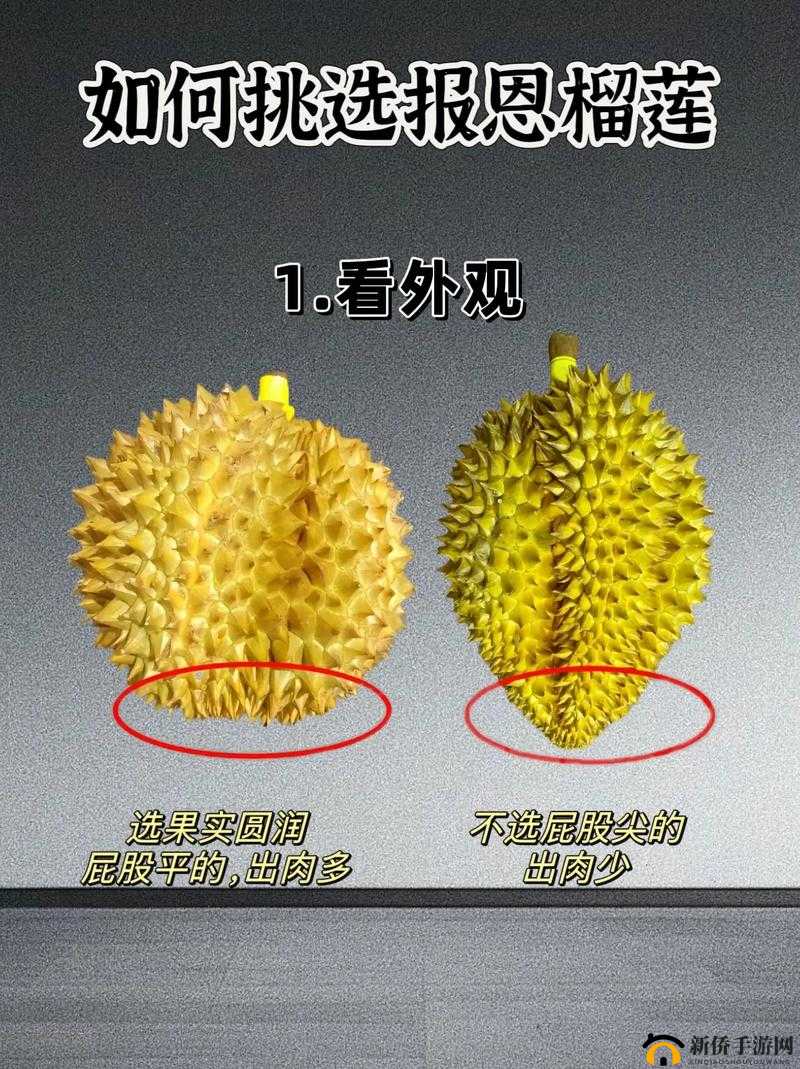 草莓香蕉榴莲丝瓜 18 岁 2024 :青春的奇妙交织与展望
