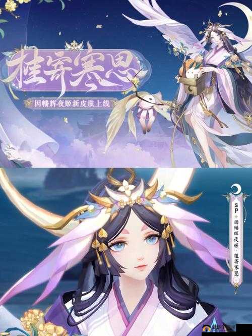 阴阳师庭院皮肤盛夏幽庭的魅力与获取方式