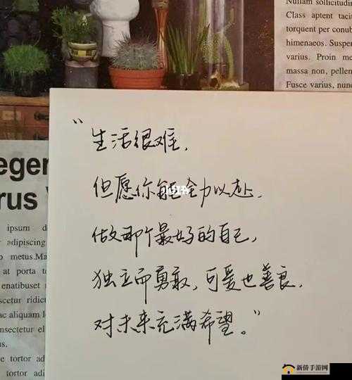 我们 2018 最好看中文:这些文字为何能打动人心