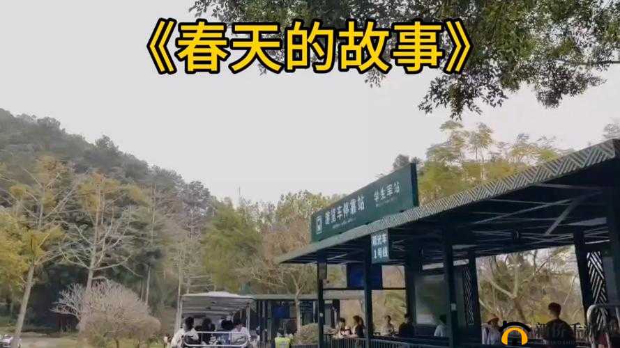 老杨头的春天第一章:老杨头在春天里的故事开篇