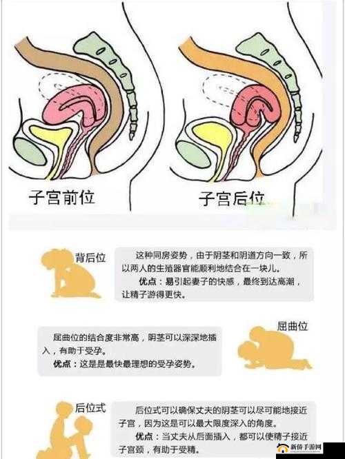 后位式是怎样的图片：深入探究后位式的具体呈现与特点