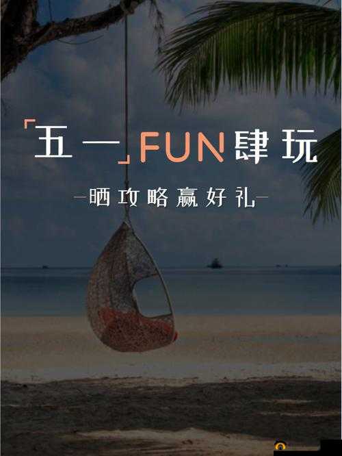 51fun 怎么打开:探寻其开启的正确方法与步骤