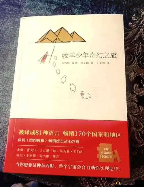 少年江湖志，寻宝与交友的武侠奇遇