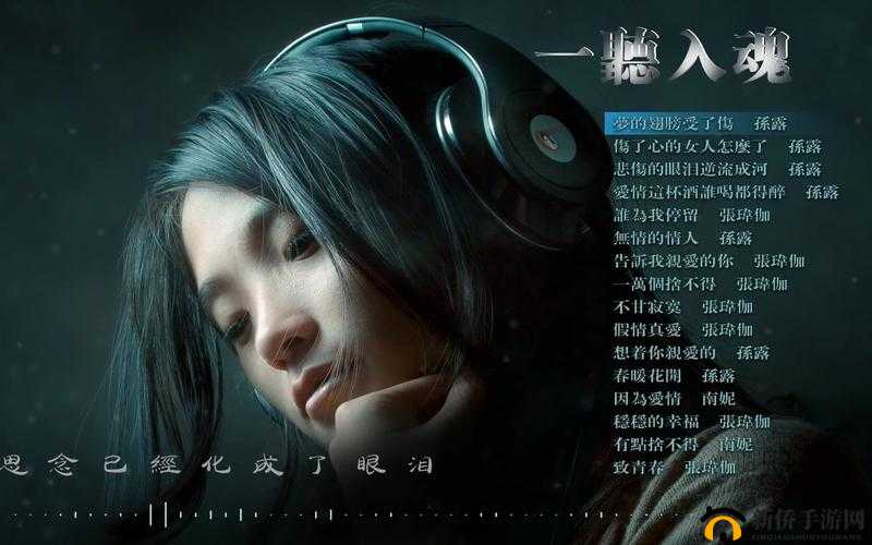 声声入魂 hifi:让音乐直击灵魂
