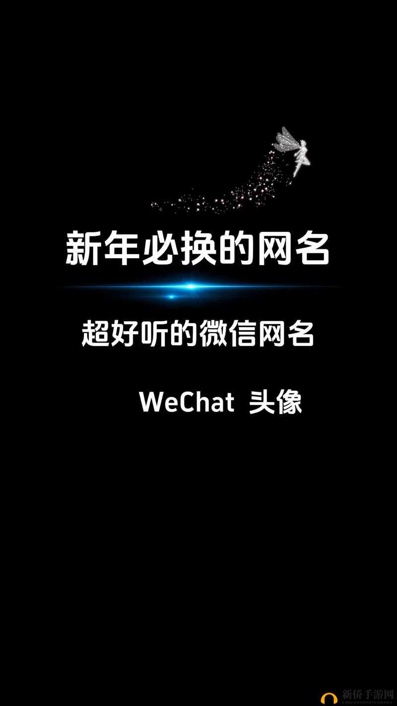 四虎最新网名更新 2024 全新呈现与精彩解读