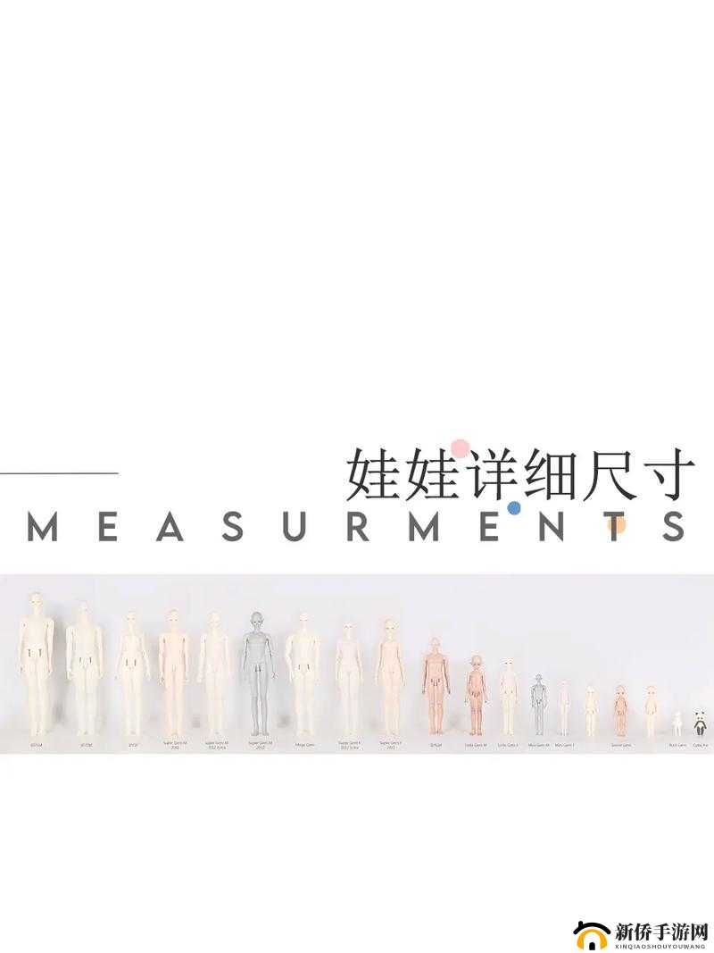 八寸的娃娃有多大:详细解析其尺寸与实际观感