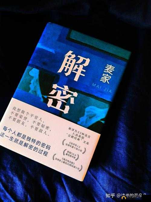探秘王者军团陵墓秘境,一场智慧与勇气的较量