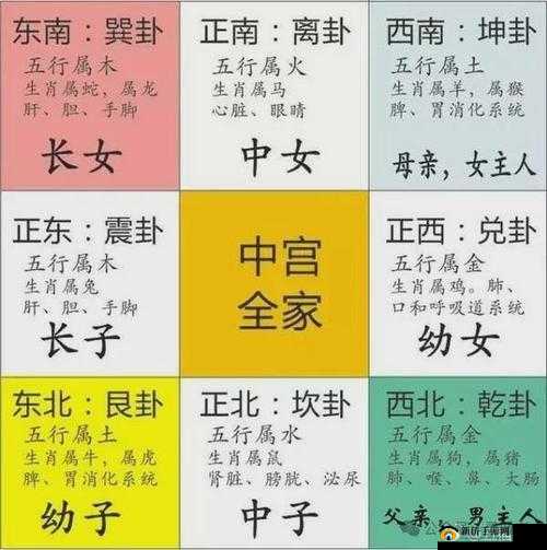 奇门遁甲与权御三国,八卦阵的奥秘与玩法深度解析