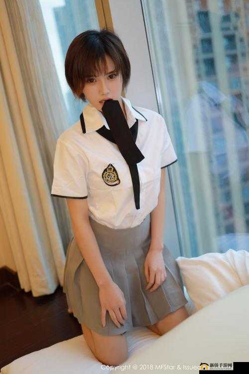 xxxxwwww 相关内容详细解析及深入探讨