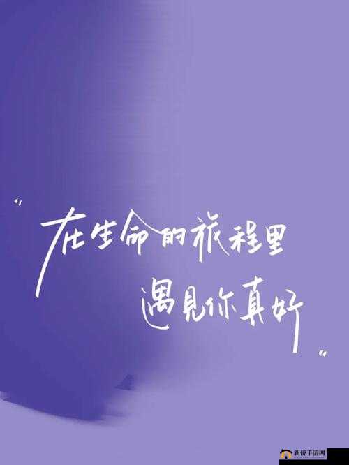 今天就让你怀上:开启全新生命旅程的承诺与期待