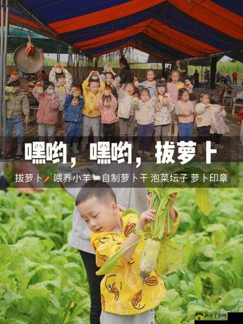 挤牛奶拔萝卜怎么拔:详细步骤与技巧分享
