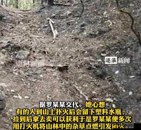 饥饿的阿姨 5:灭火的紧急需求