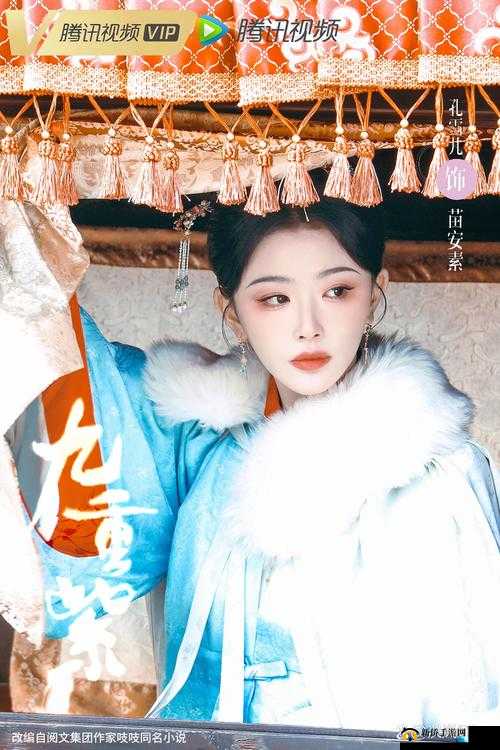 九重紫孟子义电视剧免费观看:高清画质,畅享精彩剧情