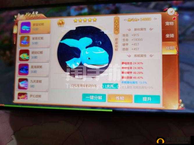 武道神尊宠物系统,解锁战斗新境界